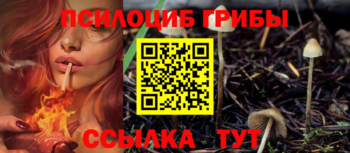 Чапаевск  Галлюциногенные грибы MAGIC MUSHROOMS  Вход с VPN 